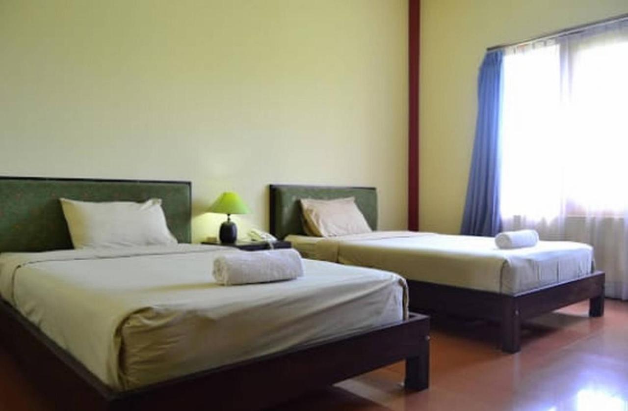 Guest house Tiger 2*
